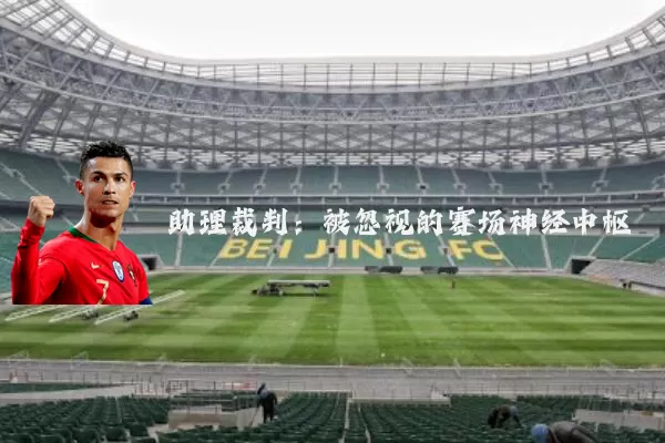 助理裁判：被忽视的赛场神经中枢
